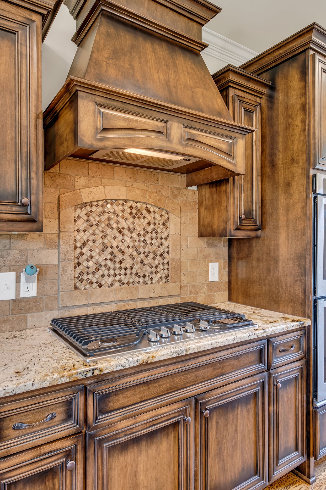 126 Springfield Drive Lebanon TN 37087