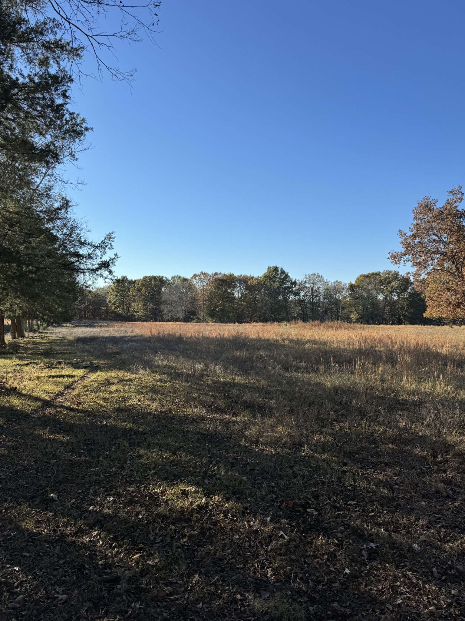 7492 Old Shores Road Murfreesboro TN 37128