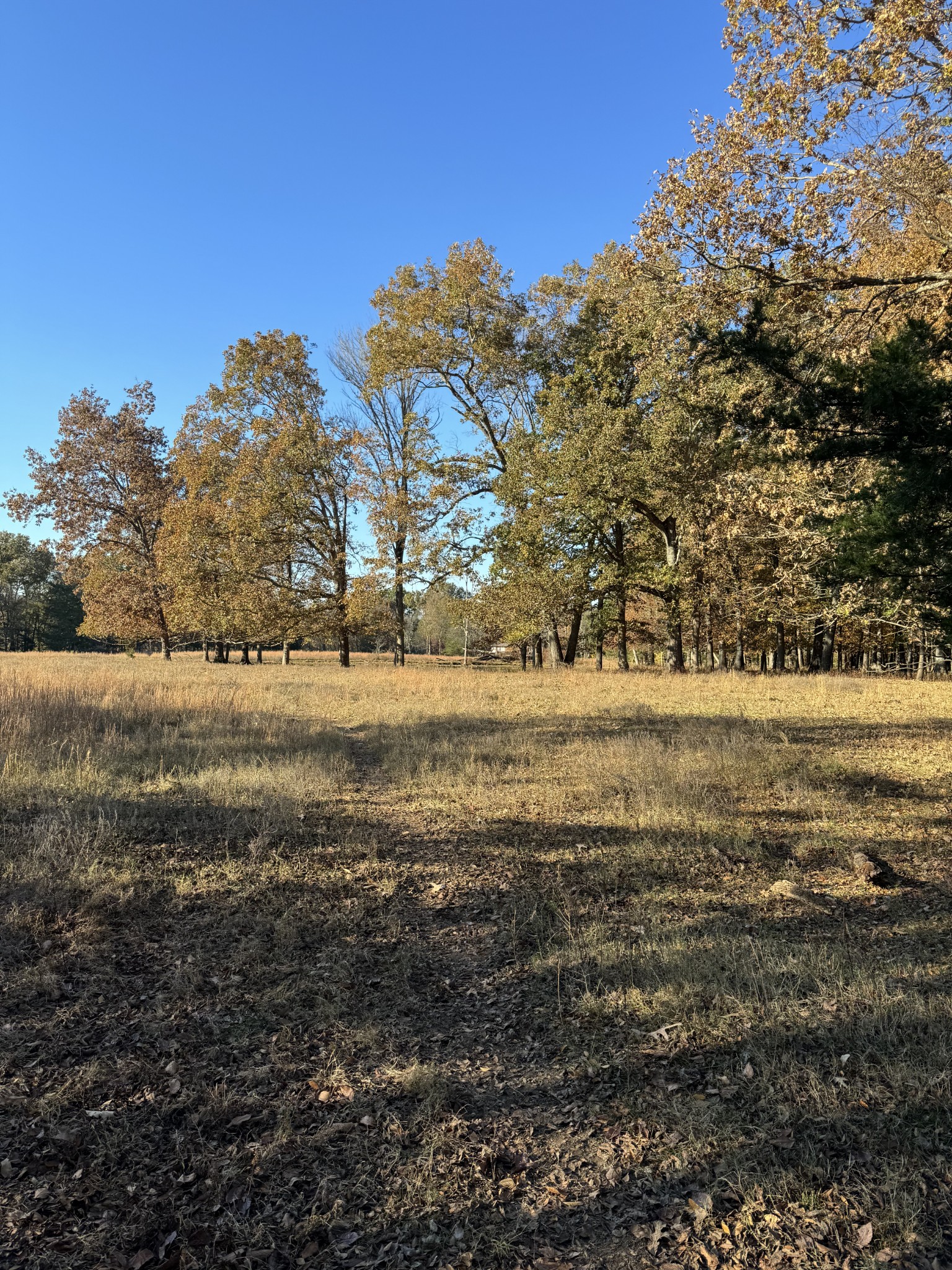 7492 Old Shores Road Murfreesboro TN 37128