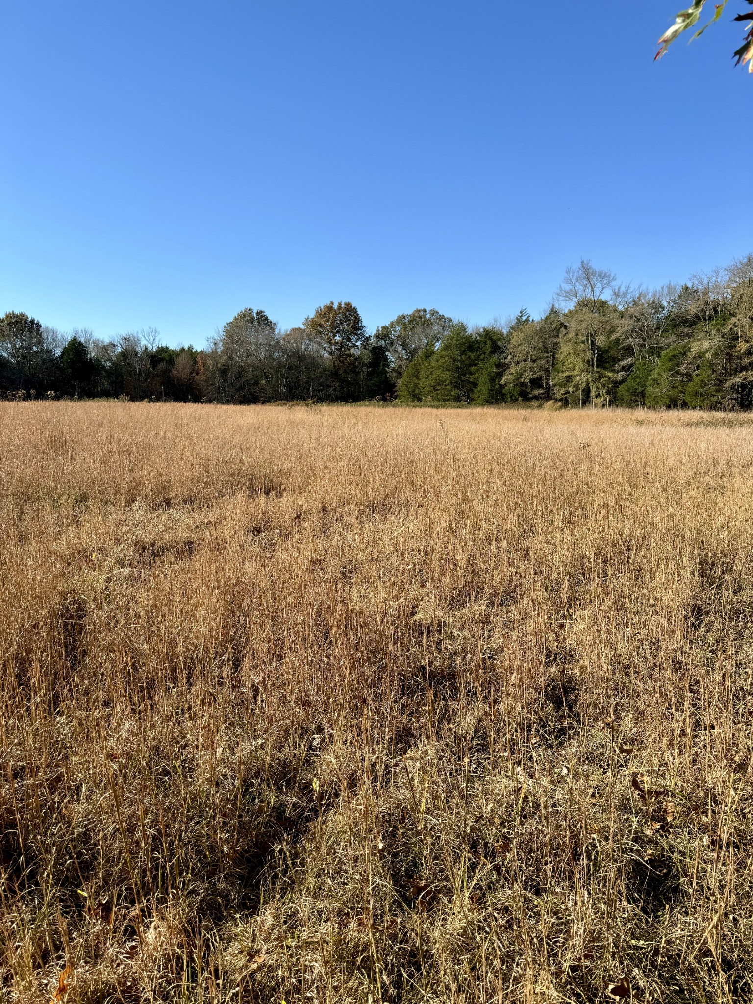 7492 Old Shores Road Murfreesboro TN 37128