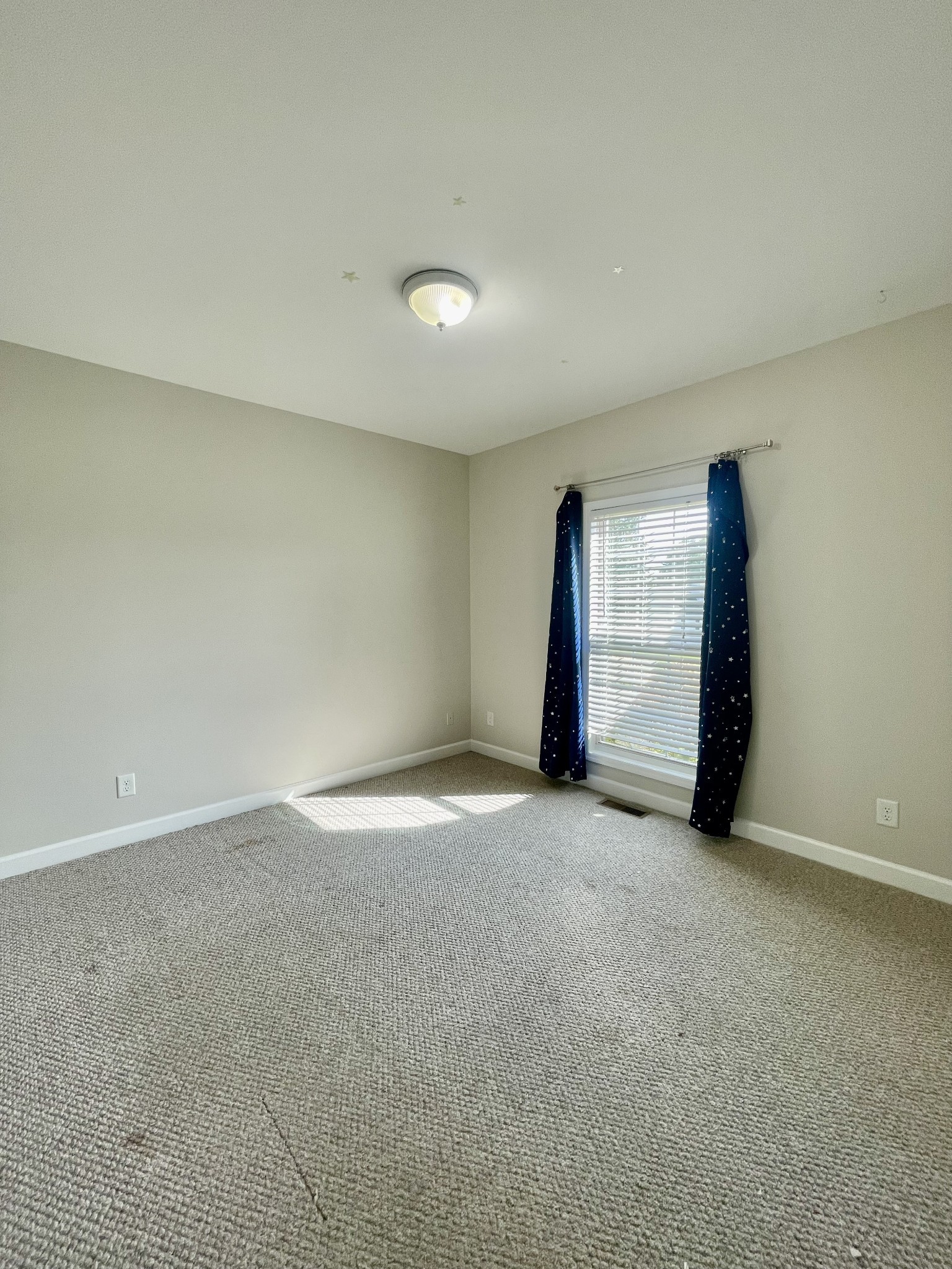 40 Harding Road Leoma TN 38468
