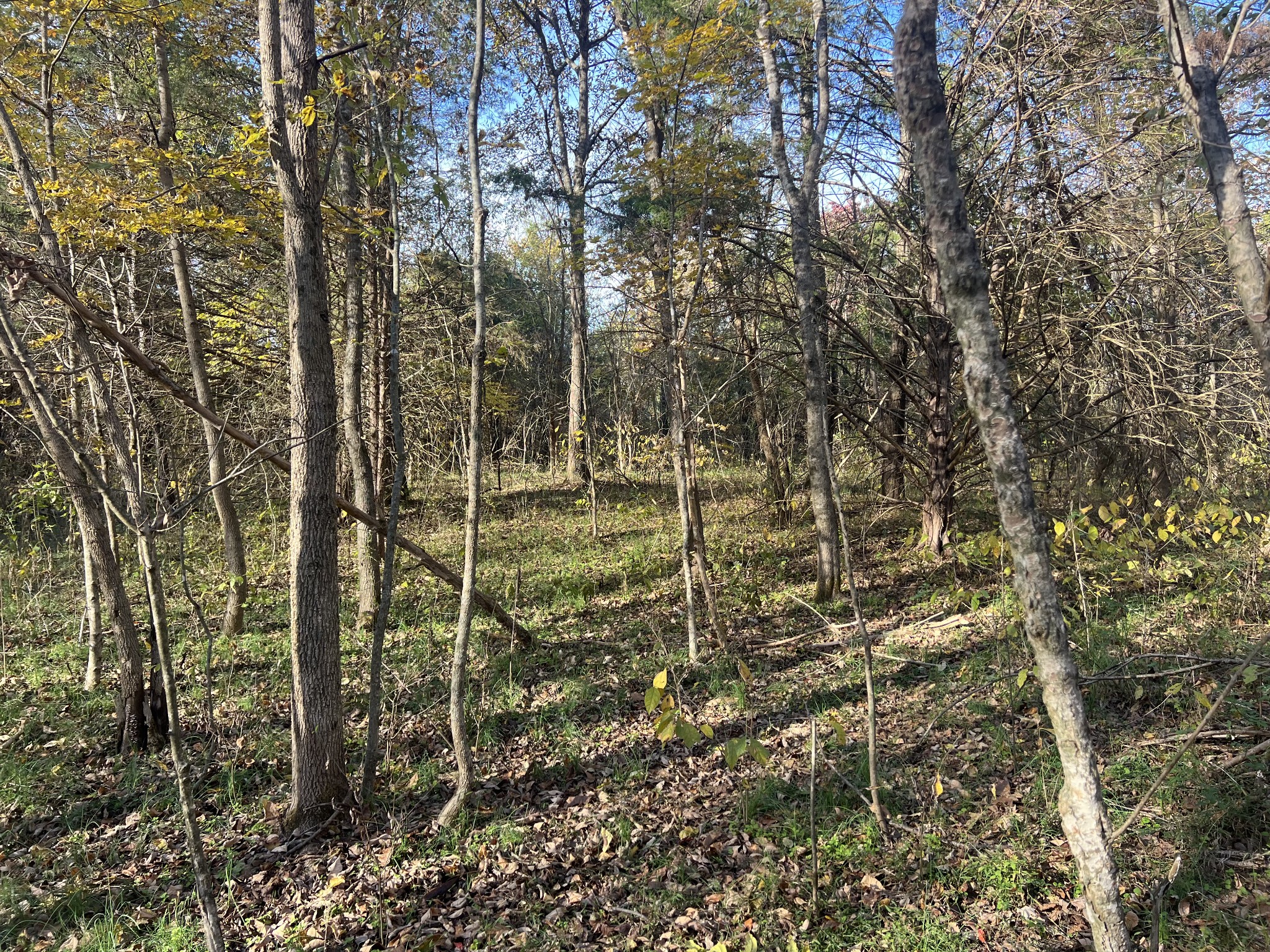 901 Britton Springs Road Clarksville TN 37042