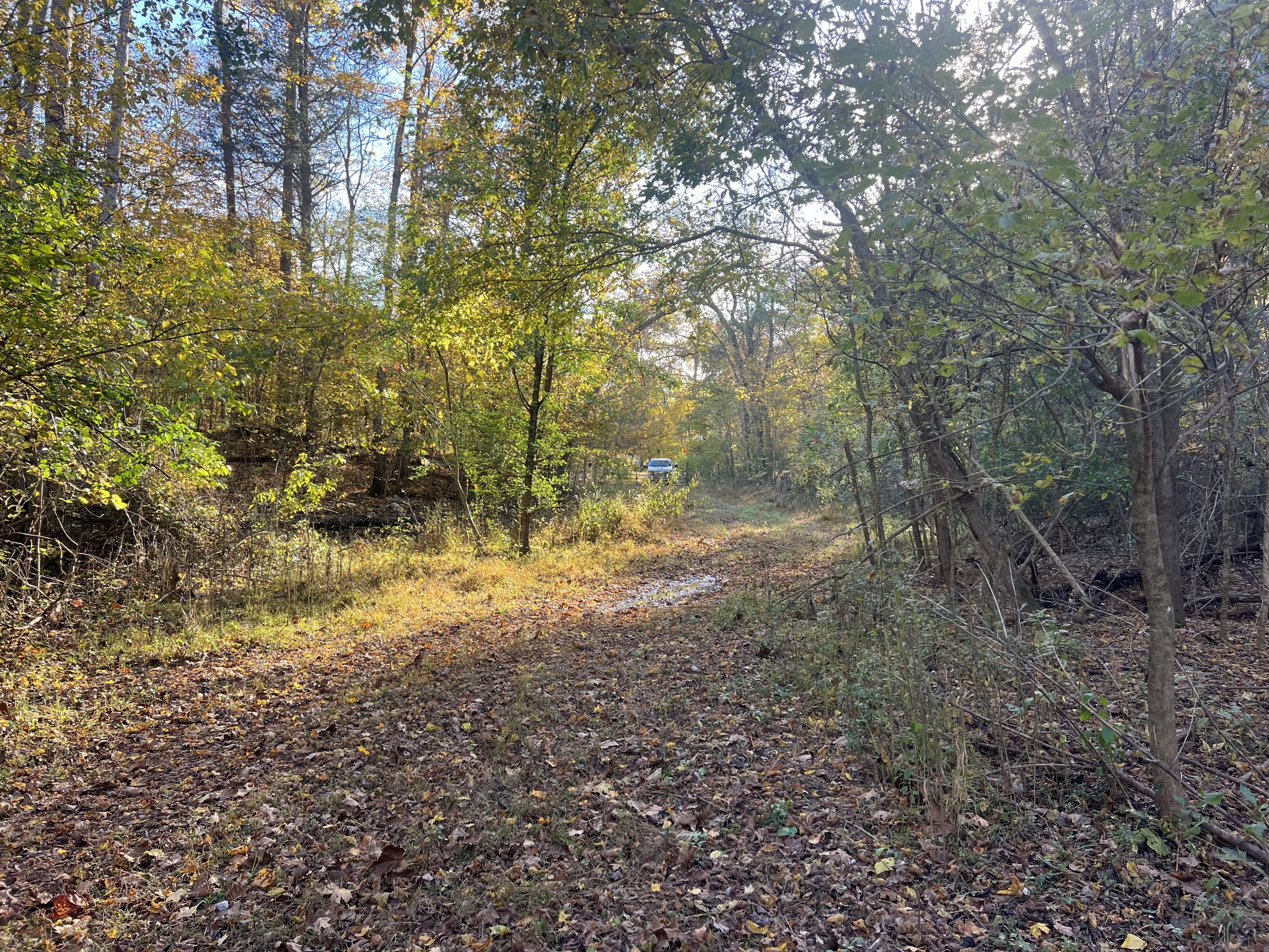 901 Britton Springs Road Clarksville TN 37042