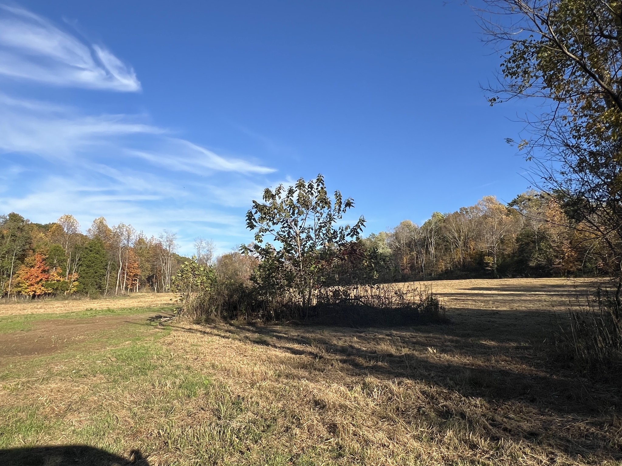 901 Britton Springs Road Clarksville TN 37042