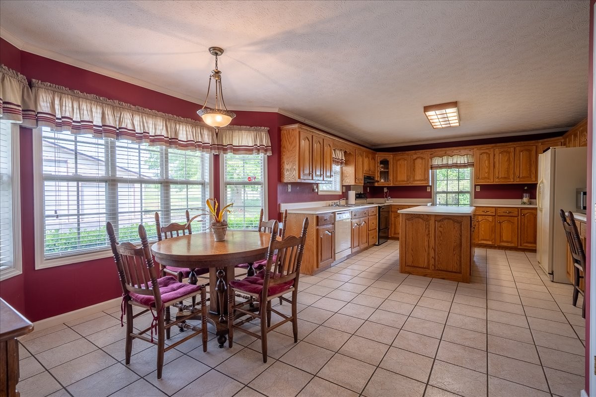 256 Ramah Road Loretto TN 38469