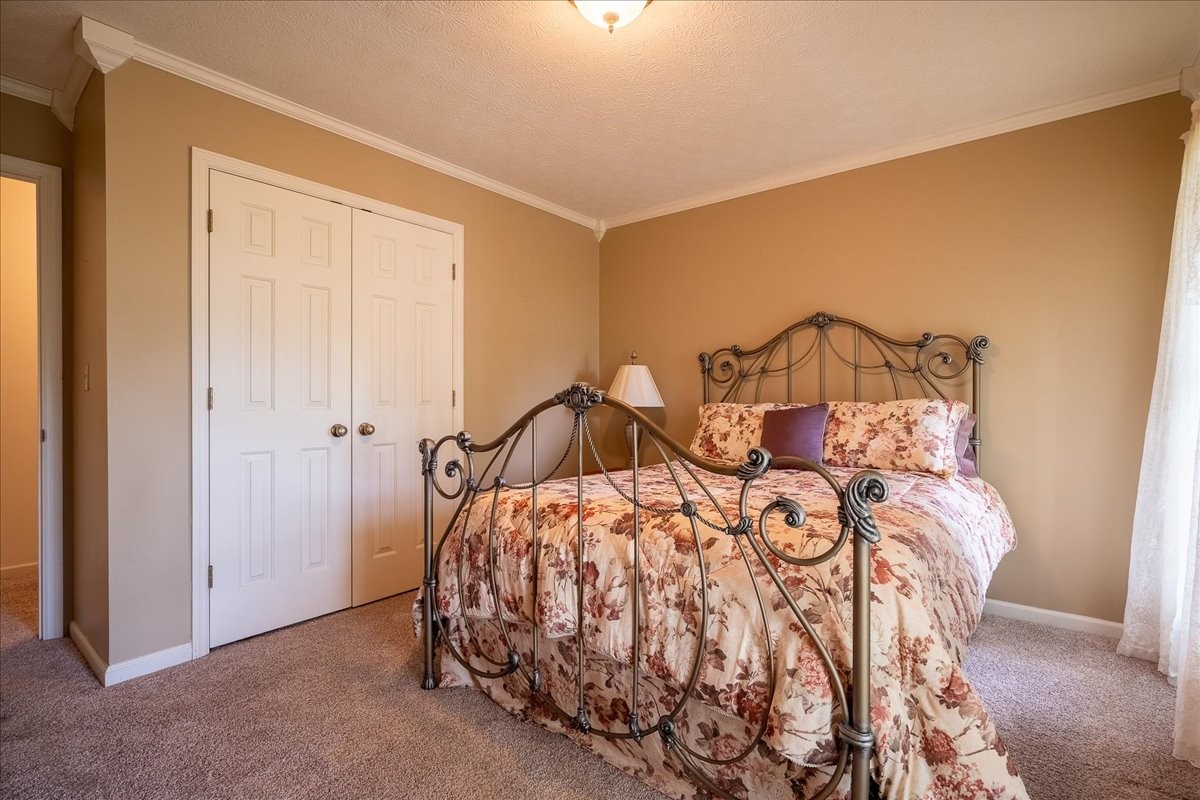 256 Ramah Road Loretto TN 38469