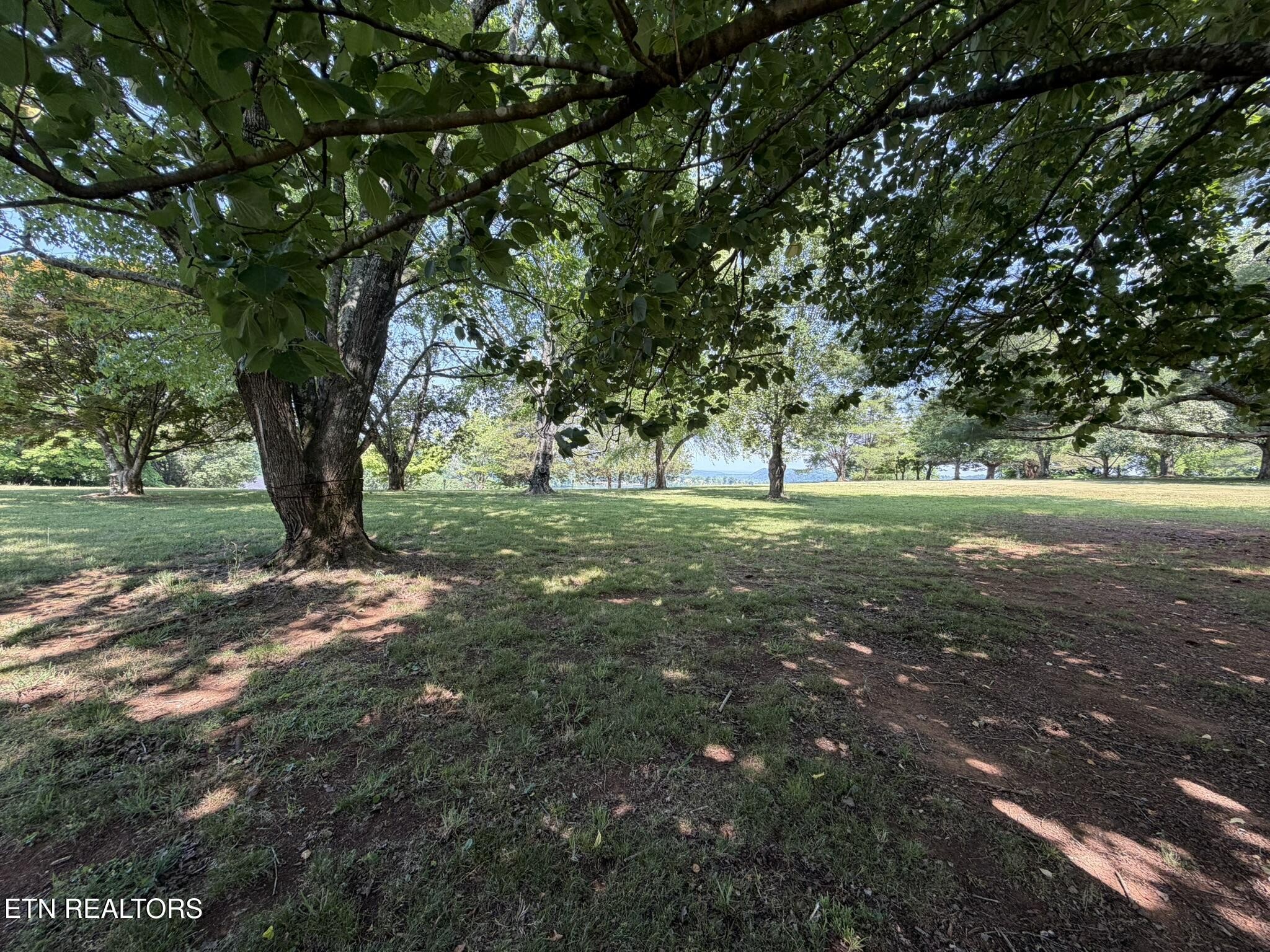 21 Morris Lane Kingston TN 37763