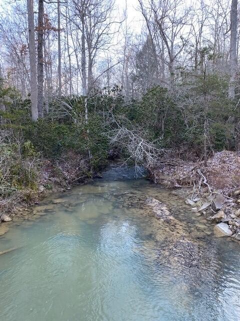142 Cole Road Deer Lodge TN 37726