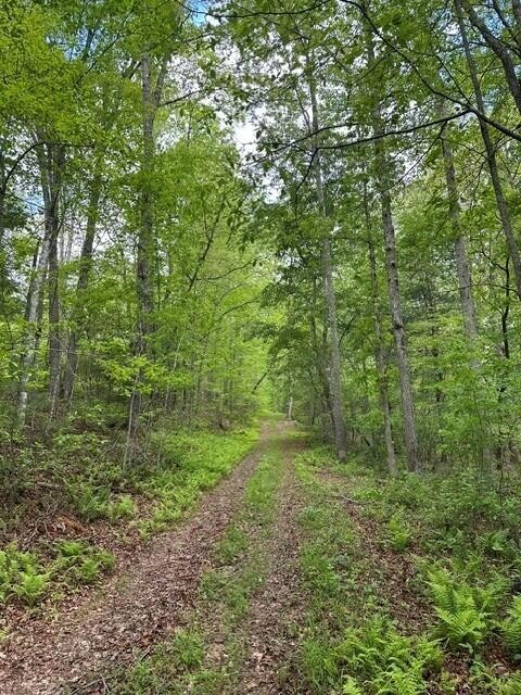 142 Cole Road Deer Lodge TN 37726