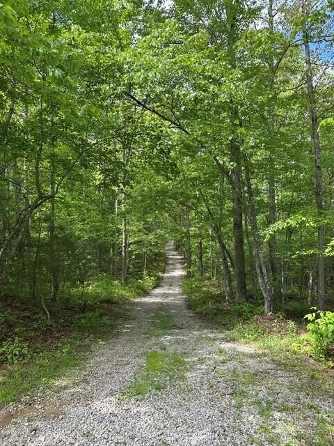 142 Cole Road Deer Lodge TN 37726