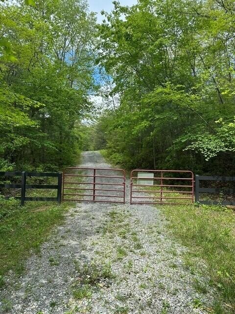 142 Cole Road Deer Lodge TN 37726