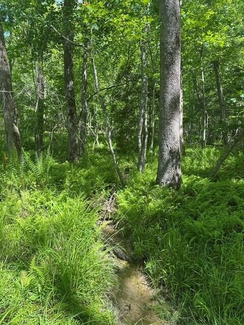142 Cole Road Deer Lodge TN 37726