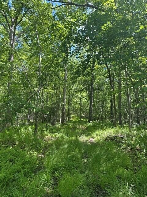 142 Cole Road Deer Lodge TN 37726