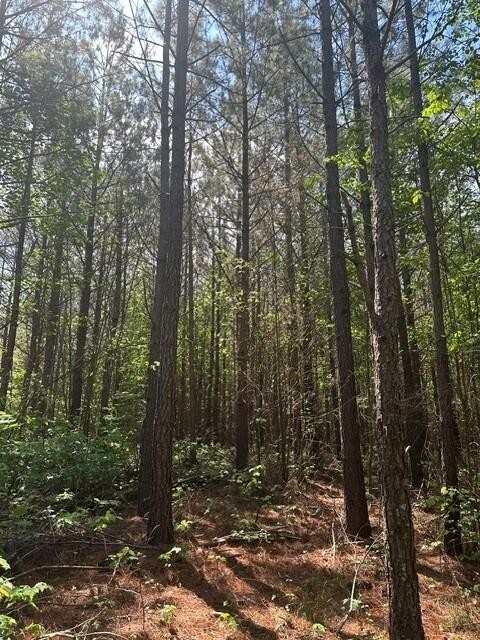 142 Cole Road Deer Lodge TN 37726