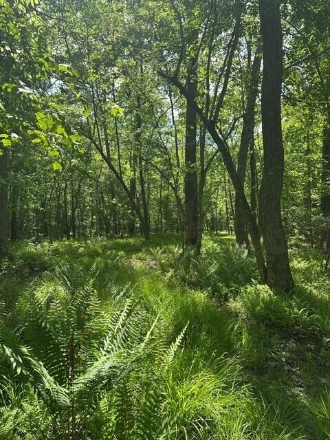 142 Cole Road Deer Lodge TN 37726