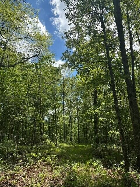 142 Cole Road Deer Lodge TN 37726
