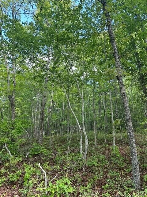 142 Cole Road Deer Lodge TN 37726