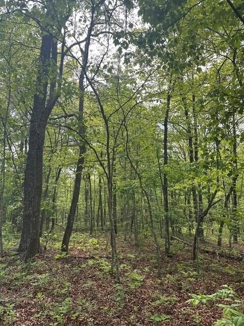 142 Cole Road Deer Lodge TN 37726