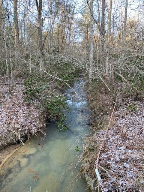 142 Cole Road Deer Lodge TN 37726