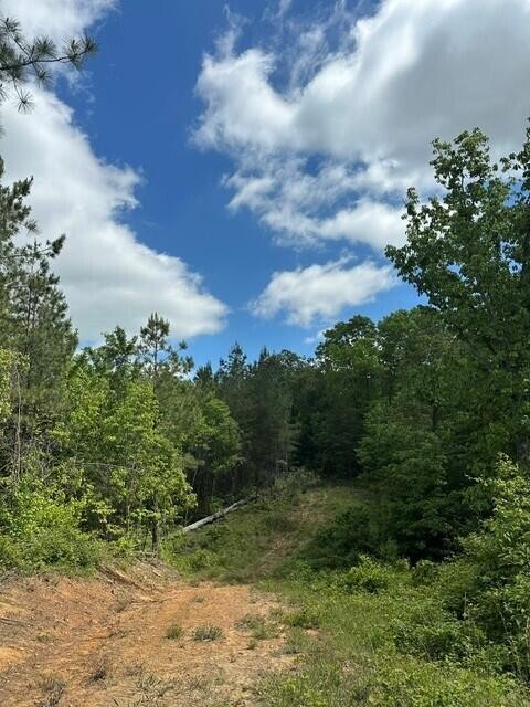 142 Cole Road Deer Lodge TN 37726