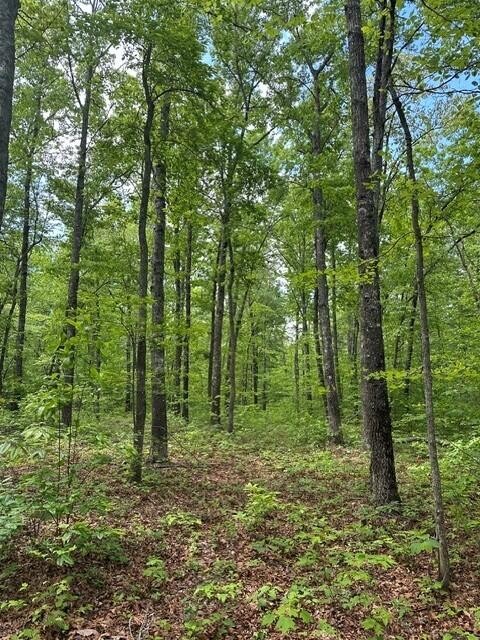 142 Cole Road Deer Lodge TN 37726