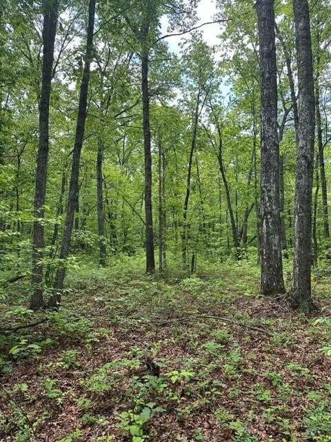 142 Cole Road Deer Lodge TN 37726