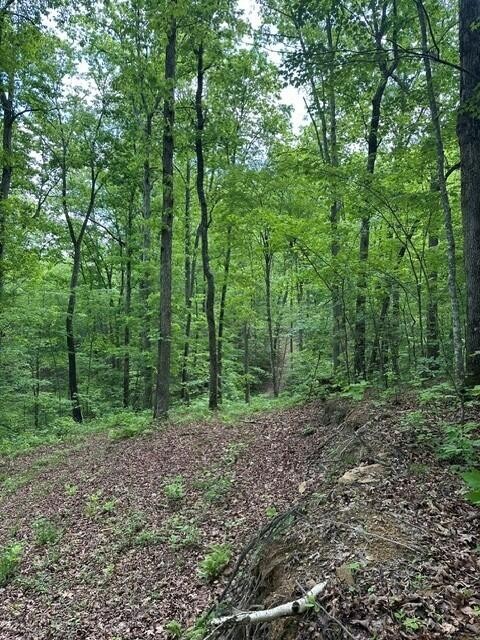 142 Cole Road Deer Lodge TN 37726