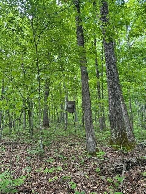 142 Cole Road Deer Lodge TN 37726