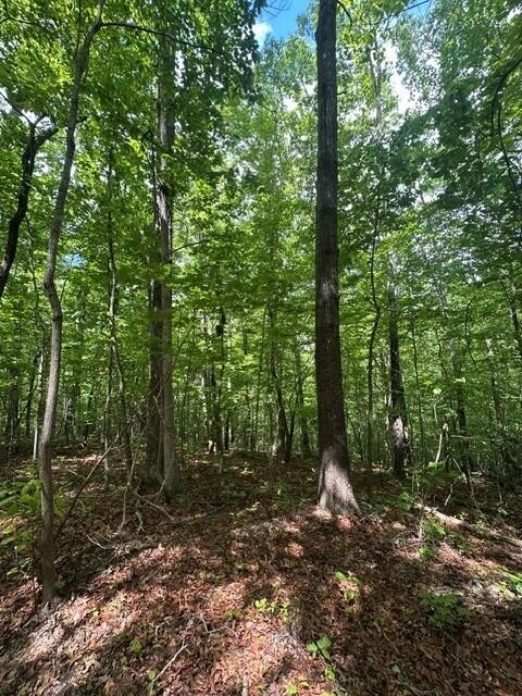 142 Cole Road Deer Lodge TN 37726