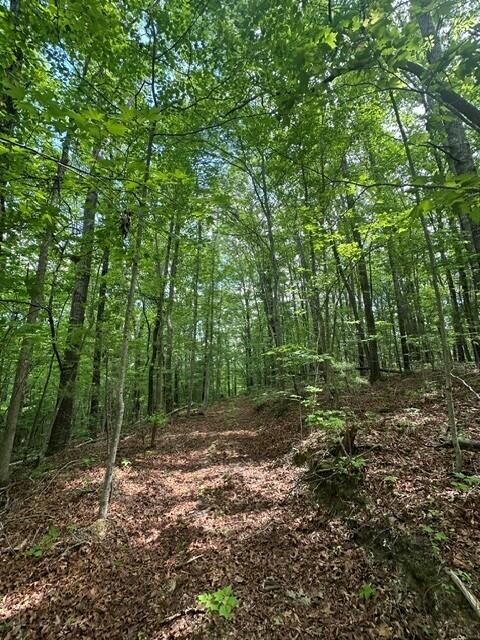 142 Cole Road Deer Lodge TN 37726
