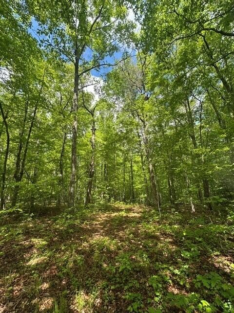 142 Cole Road Deer Lodge TN 37726