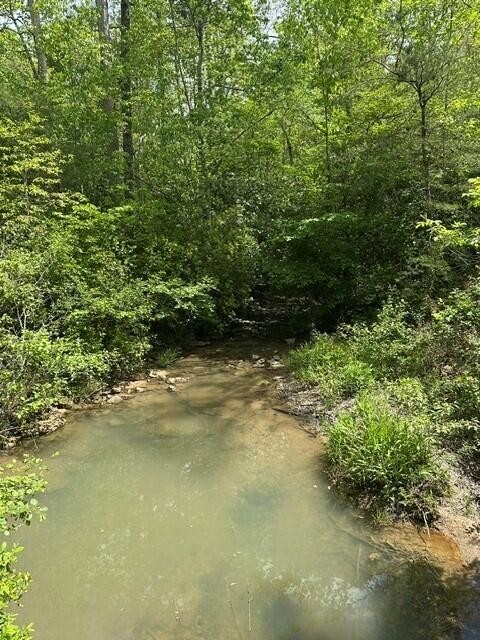 142 Cole Road Deer Lodge TN 37726