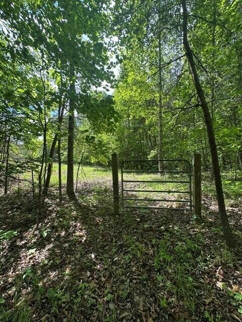 142 Cole Road Deer Lodge TN 37726