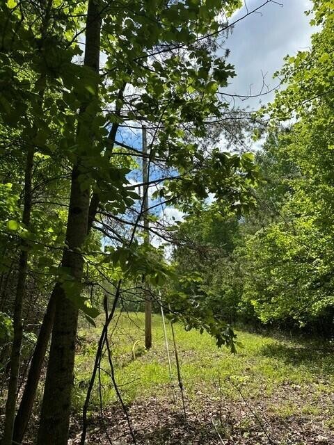 142 Cole Road Deer Lodge TN 37726