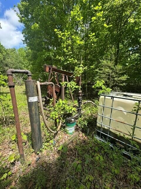 142 Cole Road Deer Lodge TN 37726