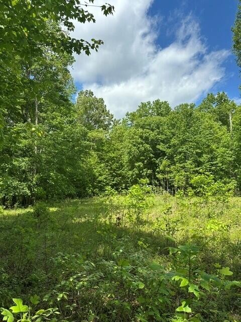 142 Cole Road Deer Lodge TN 37726
