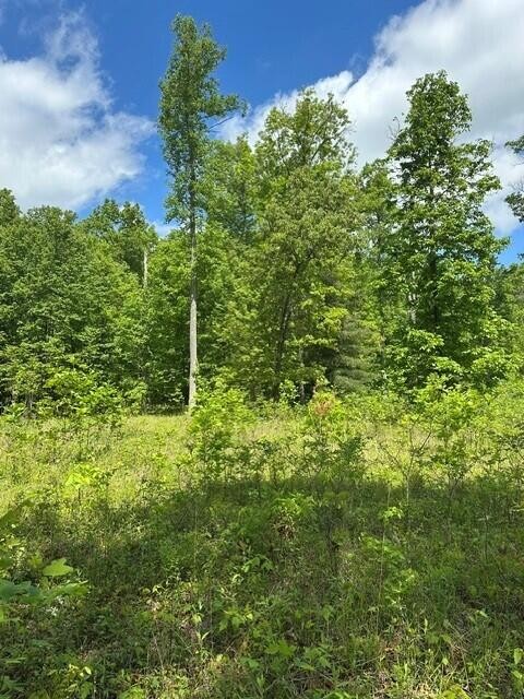 142 Cole Road Deer Lodge TN 37726