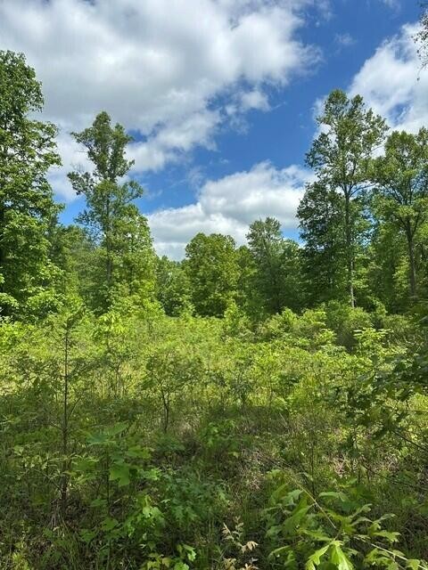 142 Cole Road Deer Lodge TN 37726