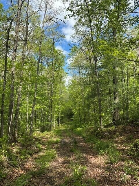 142 Cole Road Deer Lodge TN 37726