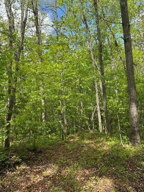 142 Cole Road Deer Lodge TN 37726
