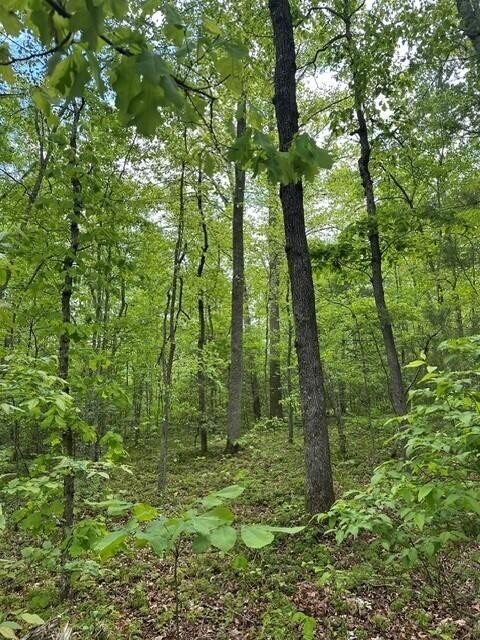 142 Cole Road Deer Lodge TN 37726