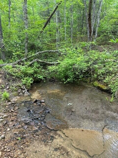 142 Cole Road Deer Lodge TN 37726