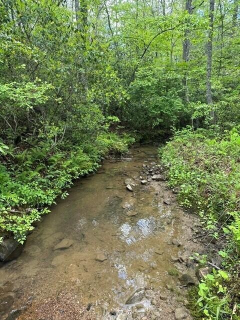 142 Cole Road Deer Lodge TN 37726