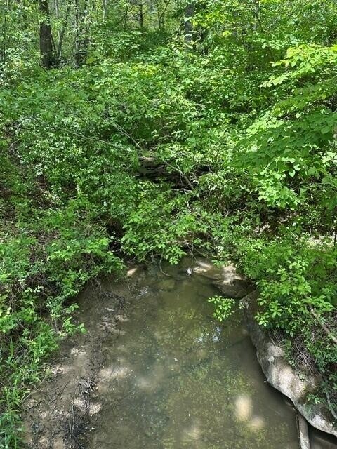 142 Cole Road Deer Lodge TN 37726