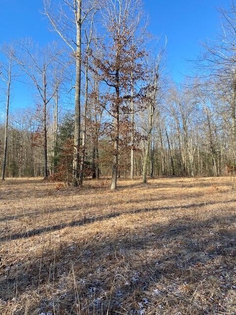 142 Cole Road Deer Lodge TN 37726