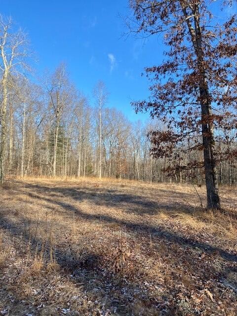 142 Cole Road Deer Lodge TN 37726