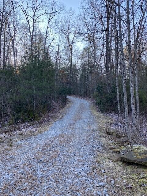 142 Cole Road Deer Lodge TN 37726