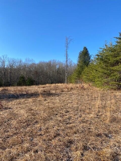 142 Cole Road Deer Lodge TN 37726