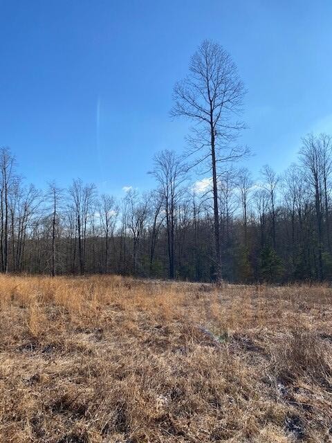 142 Cole Road Deer Lodge TN 37726