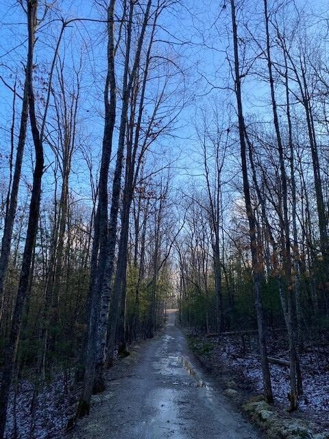 142 Cole Road Deer Lodge TN 37726